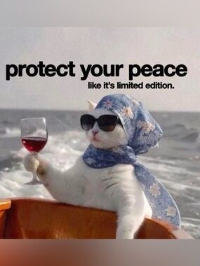 🦇💜Live Show Listing💜🦇